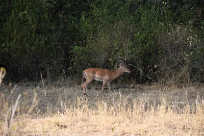 DSC_3378 (Large).JPG